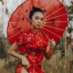 Ci Jiu Men Hui Yi Memories 辞九门回忆 EDM REMIX