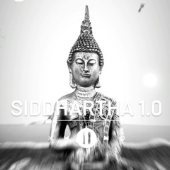 SIDDHARTHA1.0 (EDICIÓN NAVEGUE) THI IS MIGUEL AMARILES