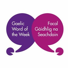 Gaelic Word of the Week - Mid Fife and Glenrothes