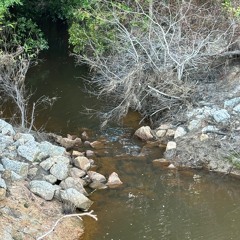 24.02 Min. Of The 4 Gett Mee Knotts Recording 8-25-24, 01.24.59