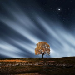 Blown Away