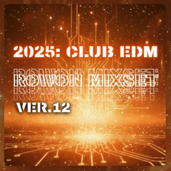 2025년 연말정산 클럽 이디엠 리믹스 믹셋6: club edm remix mixset [Mixset 12]