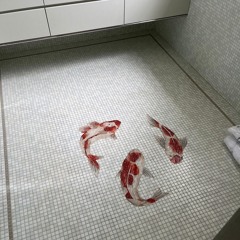 Каждый день man