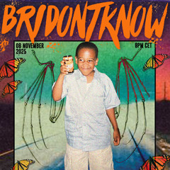 ᗷᑌᖴᖴ TIᑎG ᖇᗩᗪIO ~ ᗷᖇIᗪOᑎTKᑎOᗯ