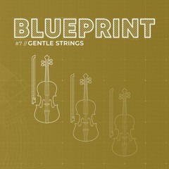 These Shores - Marcus Warner - Blueprint Gentle Strings (mastered)