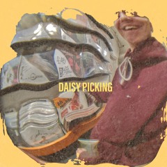 Daisy Picking