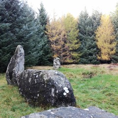 Loudon Wood Stone Circle
