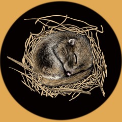 News: Getting ready for bed