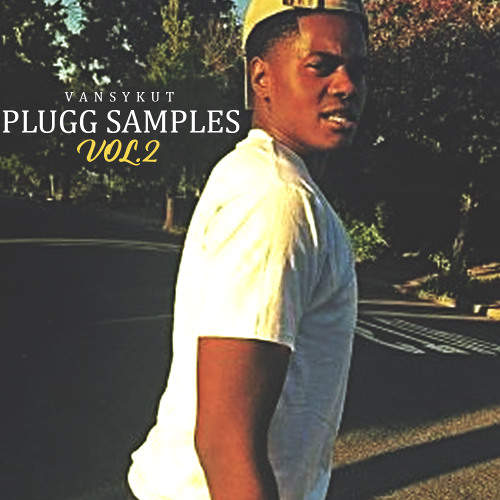 Plugg Samples Vol. 2 | Prod. @VansyKut