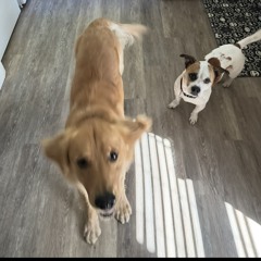 Zlfreestyle ST3V3 ft BIGZ