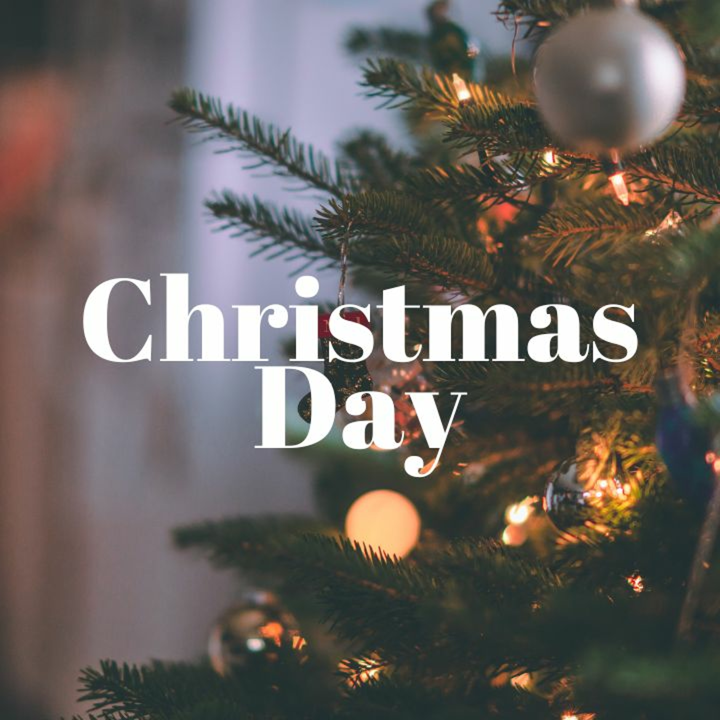 Christmas Day 2022 | Pastor Jacob Schmelzer episode artwork