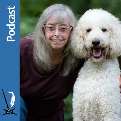 Writers & Illustrators of the Future Podcast 222. Susan Kroupa and her Labradoodle: Three Decades