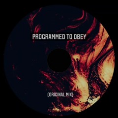 Simulation Theory - Programmed To Obey (Original Mix)FD