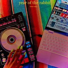 year of the water rabbit [mini-mix]