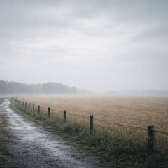 Kitchen Table Before Coffee