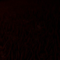 4/2/22 (demo)
