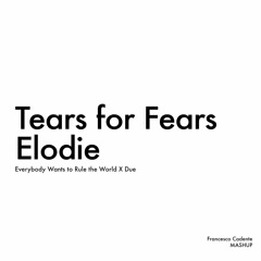 Tears for Fears X Elodie - FC Mashuppilation