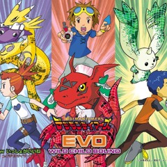 WILD CHILD BOUND - EVO