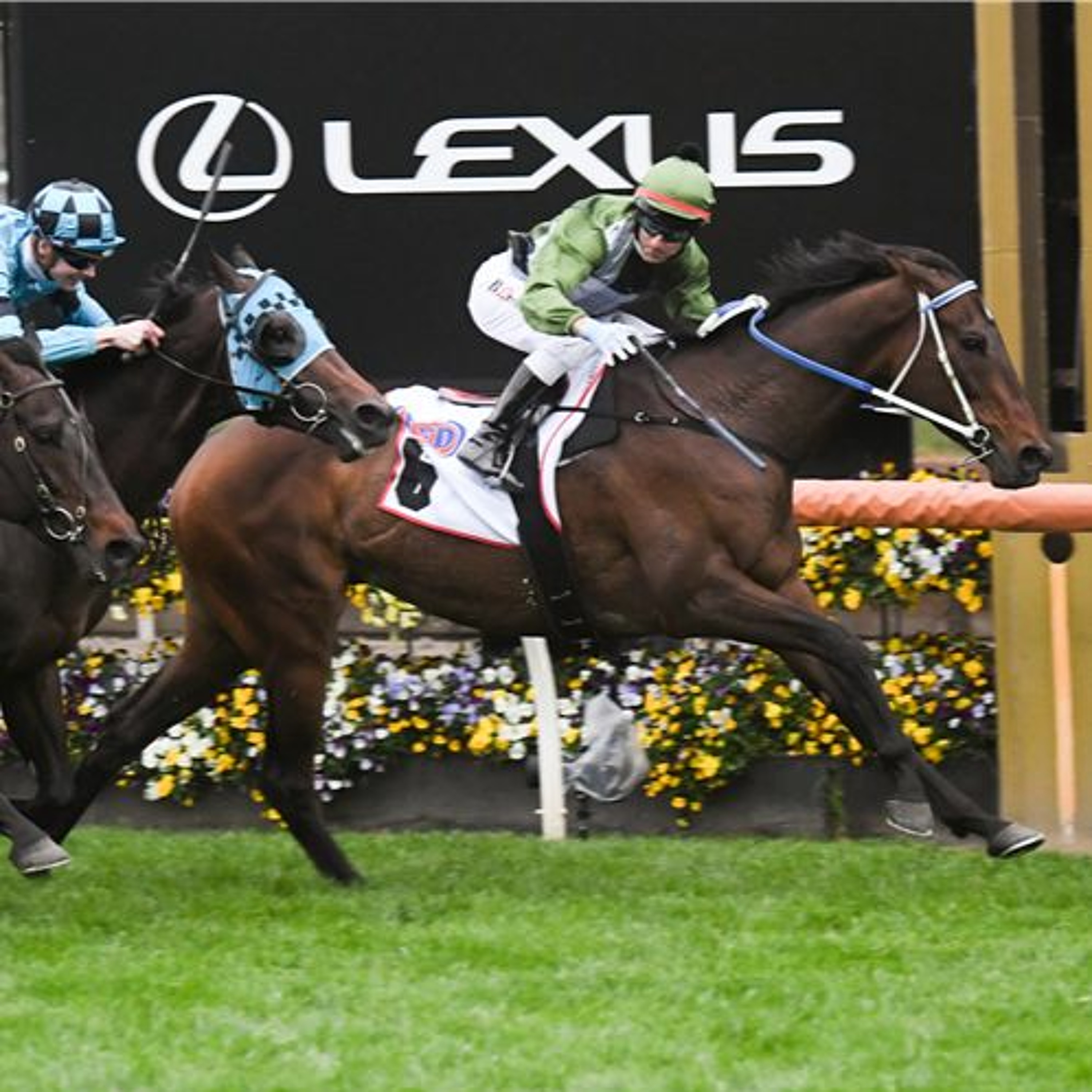 Turnbull Stakes Day Punting Preview
