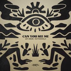 HMWL Premiere: QT-HIGH, Notdanilo - Can You See Me (Radio Mix) [Deeproot Tribe]