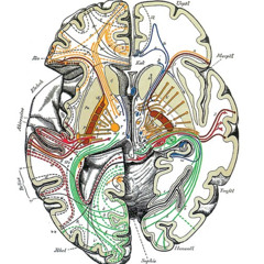 Mama, You've Been On My Mind