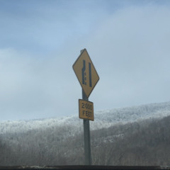 my mistakes were made for you - The Last Shadow Puppets