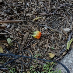 m50 + Owen Jay @ etc 2021.08.13