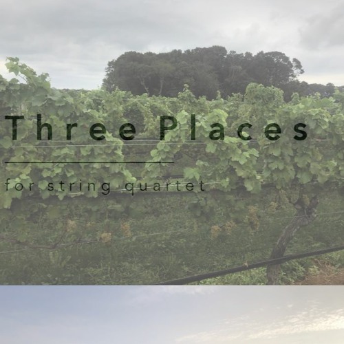 Three Places For String Quartet - Live Premier by Quatuor Diotima