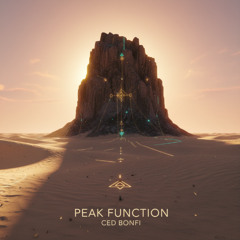 Peak Function (Original Mix)