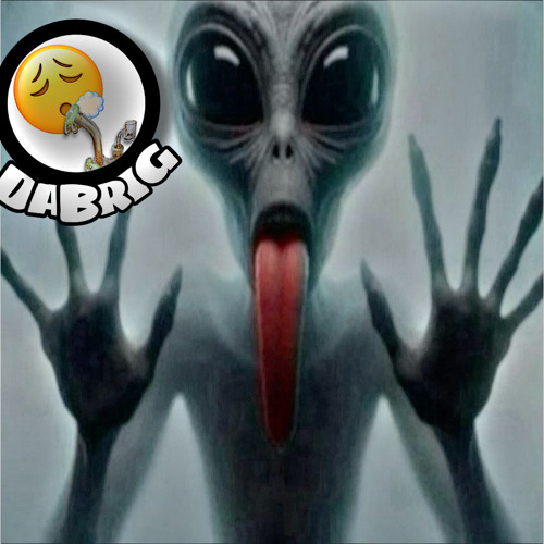 HARSH (PROD OCELOT)