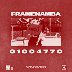 FrameNamba - 01004770