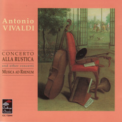Concerto in C Minor for Recorder, Strings and Basso Continuo: Largo