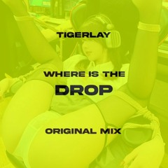 Tigerlay - where is the DROP (original mix)