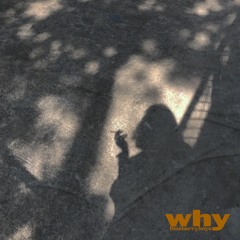 RISEBERRYBOYS - ทำไมต้องไปกับเขา (why?)