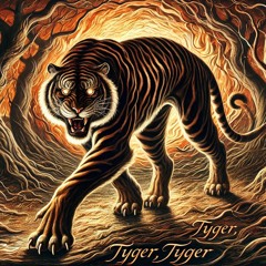 Tyger ⁺‧₊˚ ཐི⋆𓃮⋆ཋྀ ˚₊‧⁺