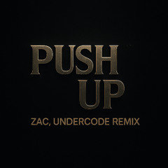 FREE DOWNLOAD: ZAC, Undercode - Push Up (remix)