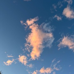 Leonore Francess May - Vanilla Skies (ZADOZ DnB ReWork)