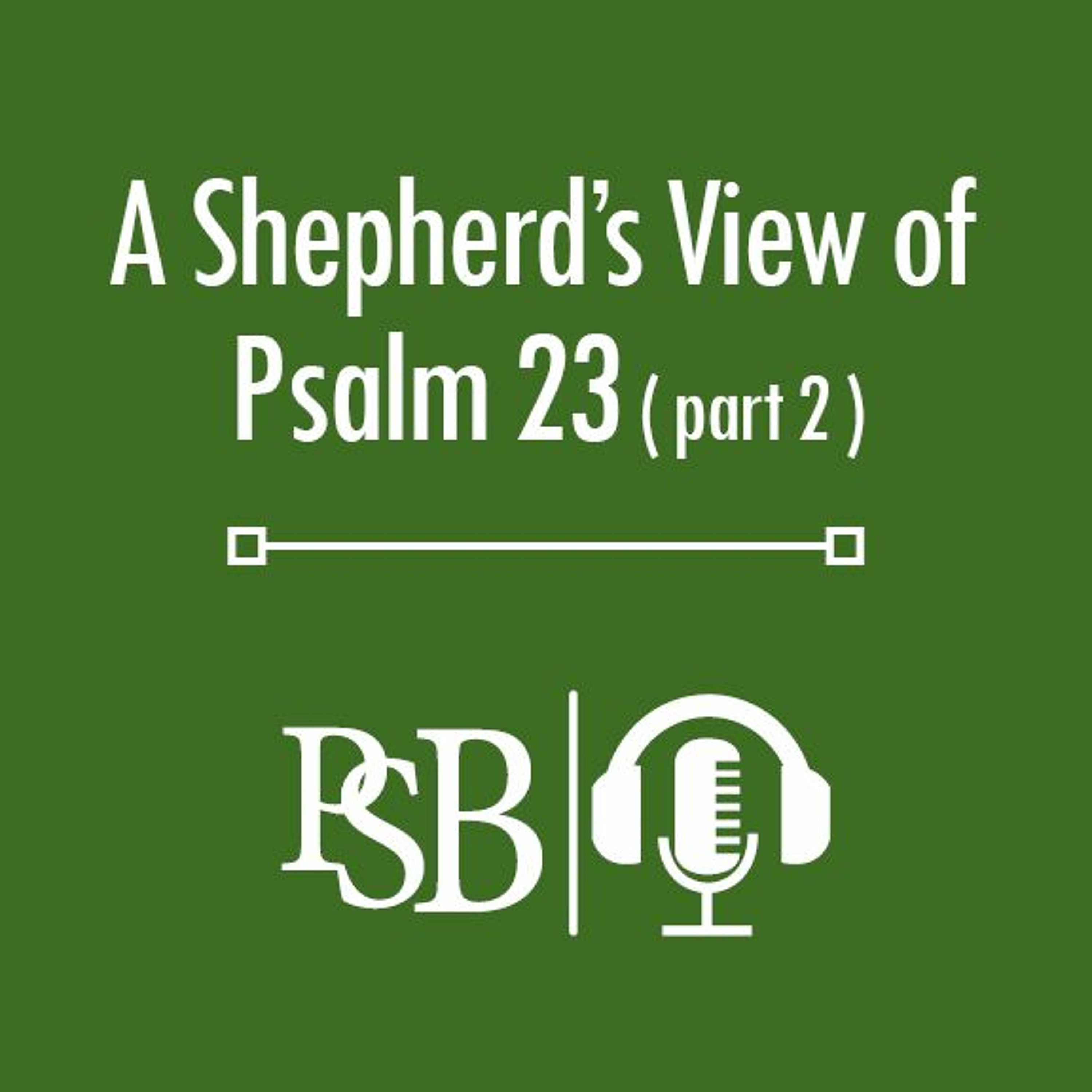 157 | A Shepherd's View of Psalm 23: Part 2 of 2 (with Levi Bailey) episode artwork