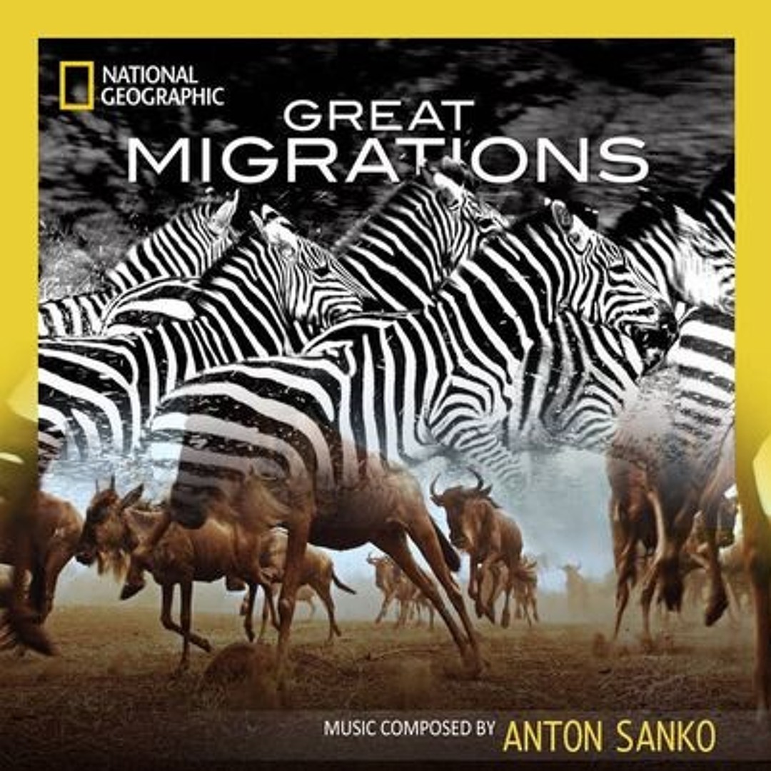 洋書 GREAT MIGRATIONS - NATIONAL GEOGRAPHIC Great Migrations: Whales, Wildebeests, Butterflies