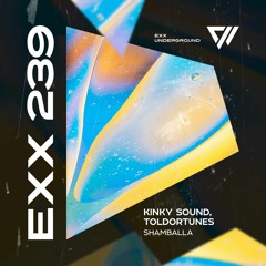 Kinky Sound, Toldortunes - Shamballa [Preview]