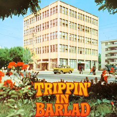 TRIPPIN IN BARLAD part II
