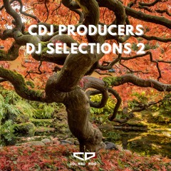 CDj Producers - Rune (Thurer Edit )