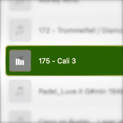 175 - Cali 3