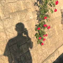 Rose Demo