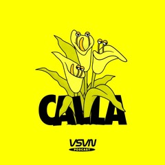Calla | VSVN Podcast