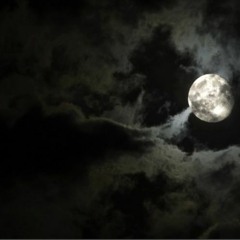 hippie delinquent BLACK NIGHT [prod.Cedro Beats] FREESTYLE