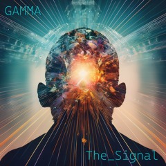The_Signals