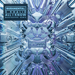 All I Know (Basstripper Remix)