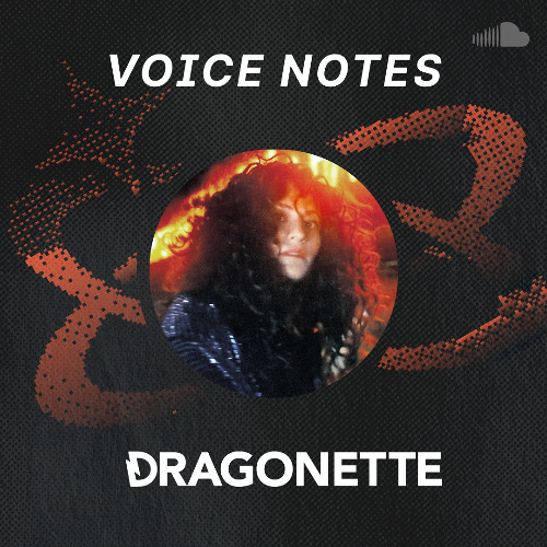 Voice Notes: Dragonette on "Slow Song"
