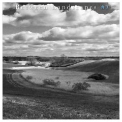 Between Landscapes #1